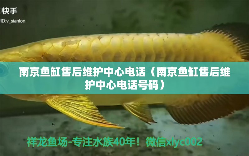 南京魚缸售后維護(hù)中心電話（南京魚缸售后維護(hù)中心電話號碼） 其他品牌魚缸