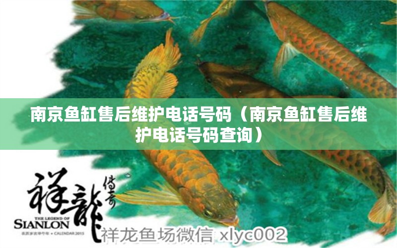 南京魚缸售后維護電話號碼（南京魚缸售后維護電話號碼查詢） 其他品牌魚缸