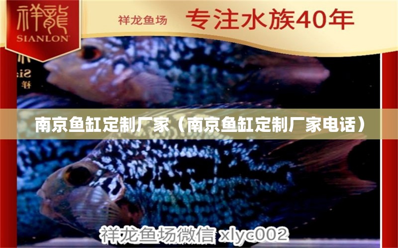 南京魚缸定制廠家（南京魚缸定制廠家電話）