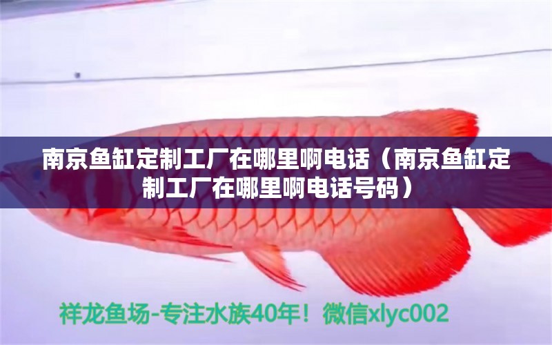 南京魚缸定制工廠在哪里啊電話（南京魚缸定制工廠在哪里啊電話號(hào)碼） 伊巴卡魚