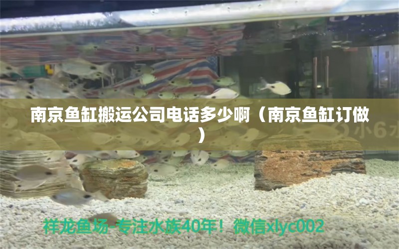 南京魚缸搬運公司電話多少?。暇~缸訂做）