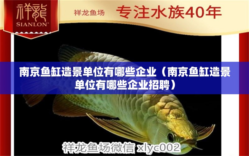 南京魚(yú)缸造景單位有哪些企業(yè)（南京魚(yú)缸造景單位有哪些企業(yè)招聘） 祥龍水族醫(yī)院