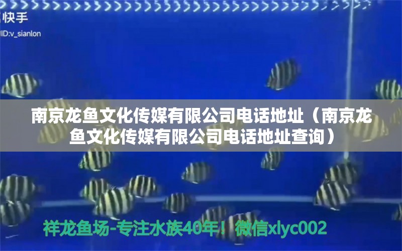 南京龍魚文化傳媒有限公司電話地址（南京龍魚文化傳媒有限公司電話地址查詢）