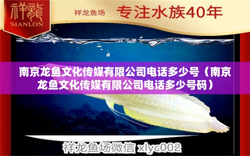 南京龍魚(yú)文化傳媒有限公司電話多少號(hào)（南京龍魚(yú)文化傳媒有限公司電話多少號(hào)碼）