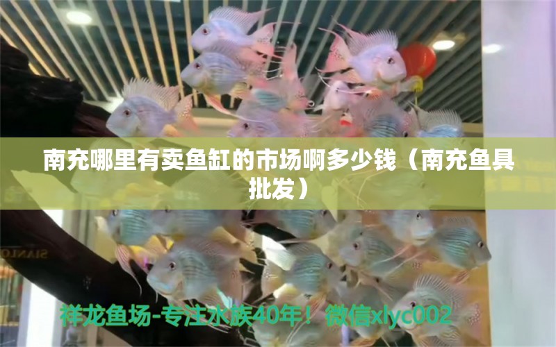 南充哪里有賣魚缸的市場啊多少錢（南充魚具批發(fā)）