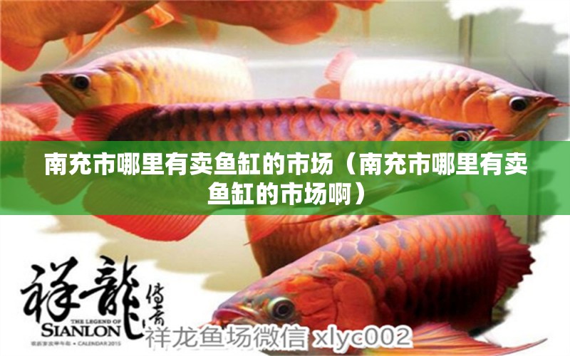 南充市哪里有賣魚缸的市場（南充市哪里有賣魚缸的市場?。?祥龍金禾金龍魚