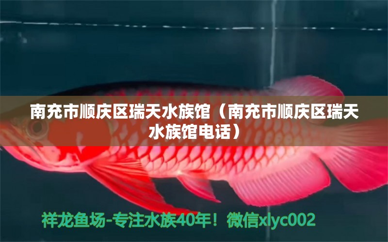 南充市順慶區(qū)瑞天水族館（南充市順慶區(qū)瑞天水族館電話） 全國(guó)水族館企業(yè)名錄