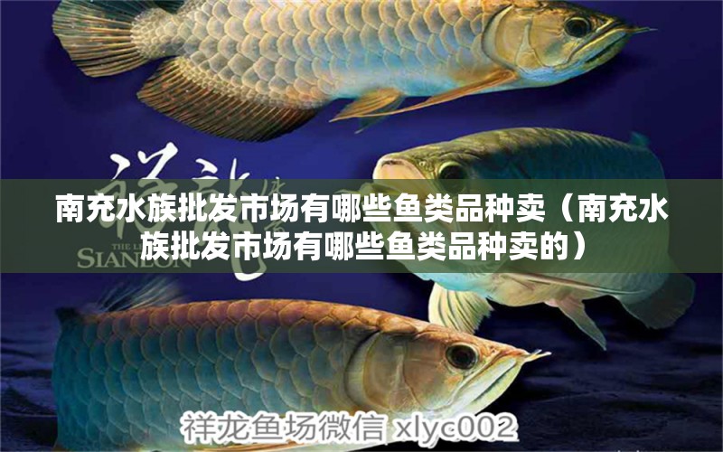 南充水族批發(fā)市場(chǎng)有哪些魚(yú)類(lèi)品種賣(mài)（南充水族批發(fā)市場(chǎng)有哪些魚(yú)類(lèi)品種賣(mài)的） 觀賞魚(yú)水族批發(fā)市場(chǎng)