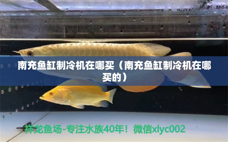 南充魚缸制冷機(jī)在哪買（南充魚缸制冷機(jī)在哪買的）