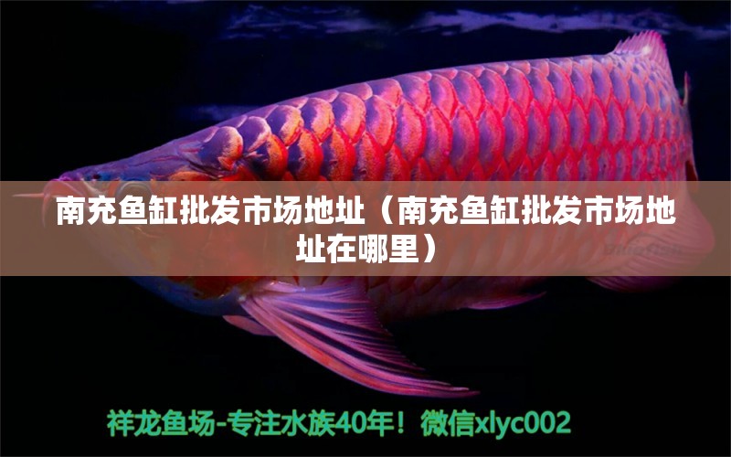 南充魚(yú)缸批發(fā)市場(chǎng)地址（南充魚(yú)缸批發(fā)市場(chǎng)地址在哪里） 其他品牌魚(yú)缸