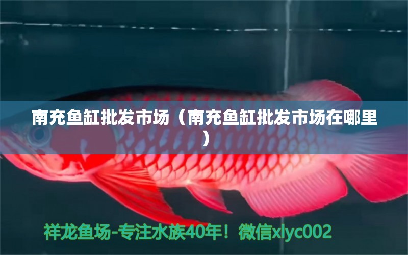 南充魚缸批發(fā)市場（南充魚缸批發(fā)市場在哪里） 觀賞魚水族批發(fā)市場