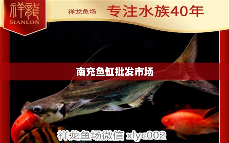 南充魚缸批發(fā)市場 其他品牌魚缸