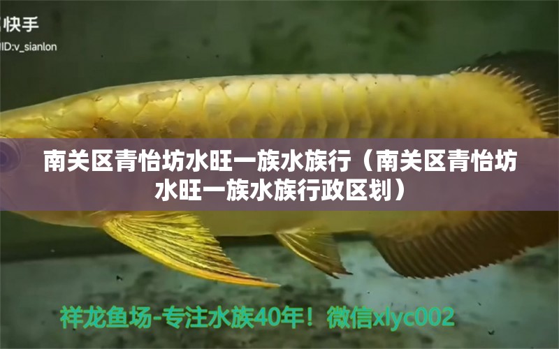 南關(guān)區(qū)青怡坊水旺一族水族行（南關(guān)區(qū)青怡坊水旺一族水族行政區(qū)劃）