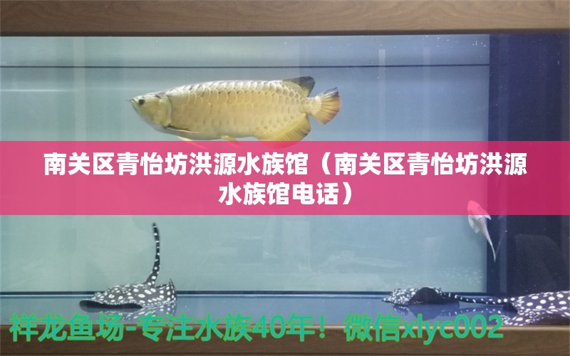 南關(guān)區(qū)青怡坊洪源水族館（南關(guān)區(qū)青怡坊洪源水族館電話）