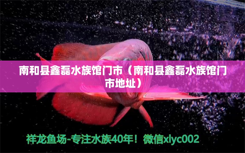 南和縣鑫磊水族館門(mén)市（南和縣鑫磊水族館門(mén)市地址） 全國(guó)水族館企業(yè)名錄