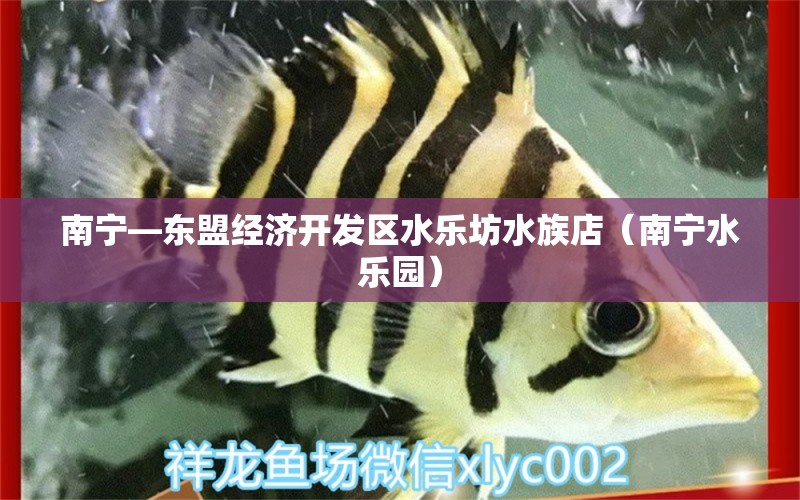 南寧—東盟經(jīng)濟(jì)開發(fā)區(qū)水樂坊水族店（南寧水樂園）