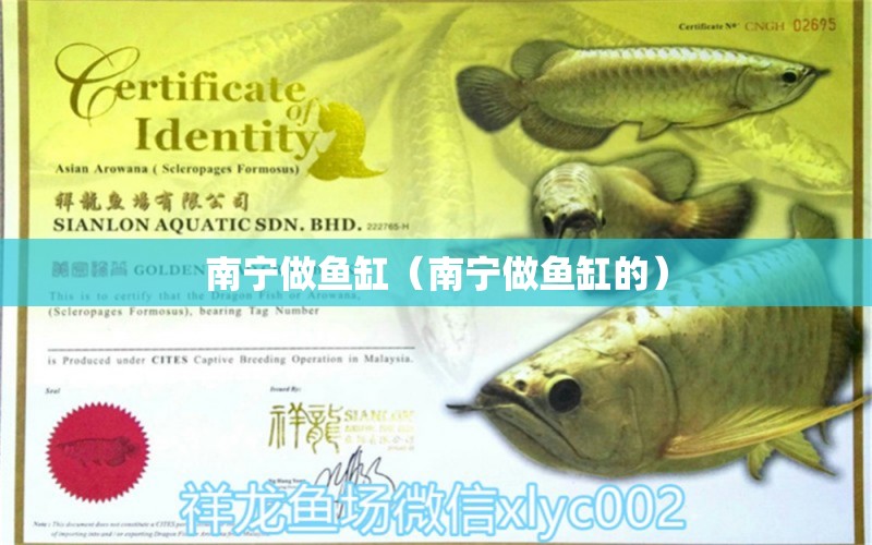 南寧做魚缸（南寧做魚缸的） 其他品牌魚缸