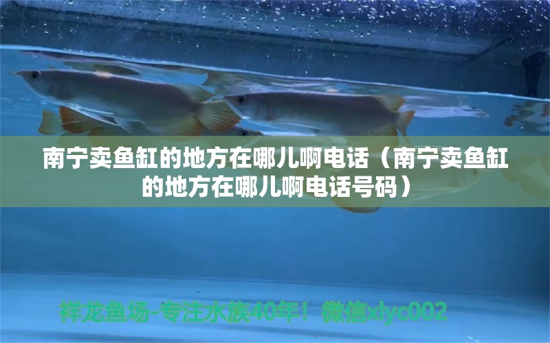 南寧賣魚缸的地方在哪兒啊電話（南寧賣魚缸的地方在哪兒啊電話號(hào)碼）