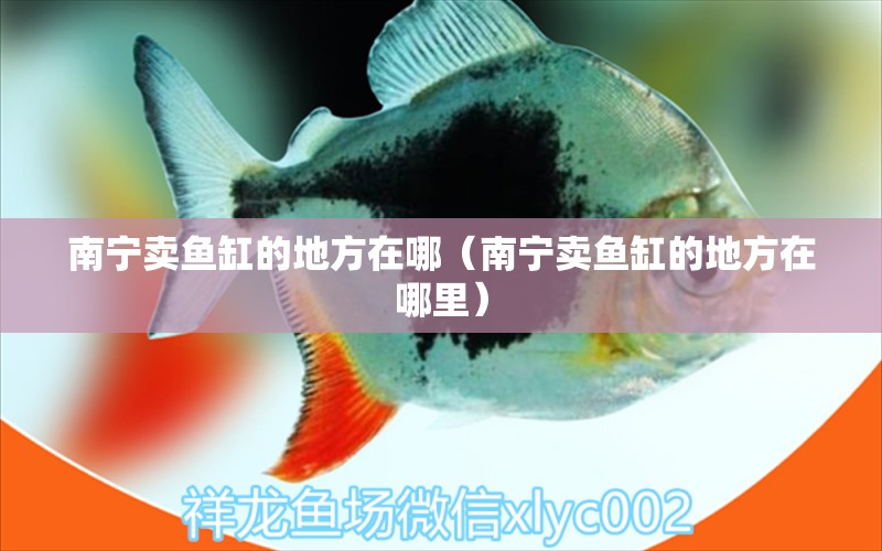 南寧賣魚缸的地方在哪（南寧賣魚缸的地方在哪里） 其他品牌魚缸