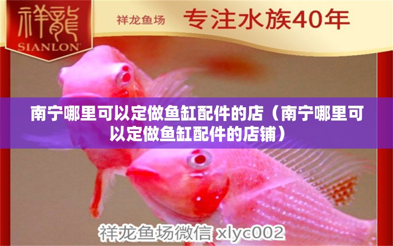 南寧哪里可以定做魚缸配件的店（南寧哪里可以定做魚缸配件的店鋪） 觀賞魚市場（混養(yǎng)魚）