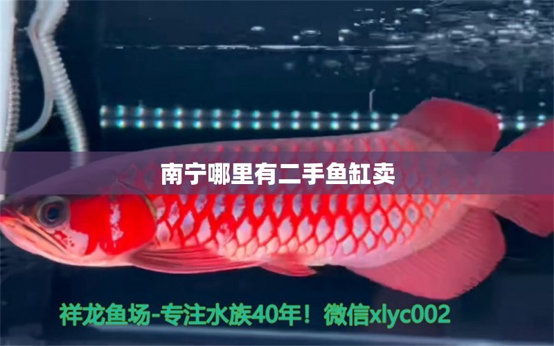 南寧哪里有二手魚缸賣 祥龍魚場