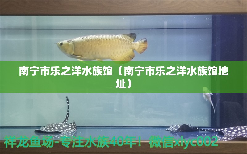 南寧市樂之洋水族館（南寧市樂之洋水族館地址）