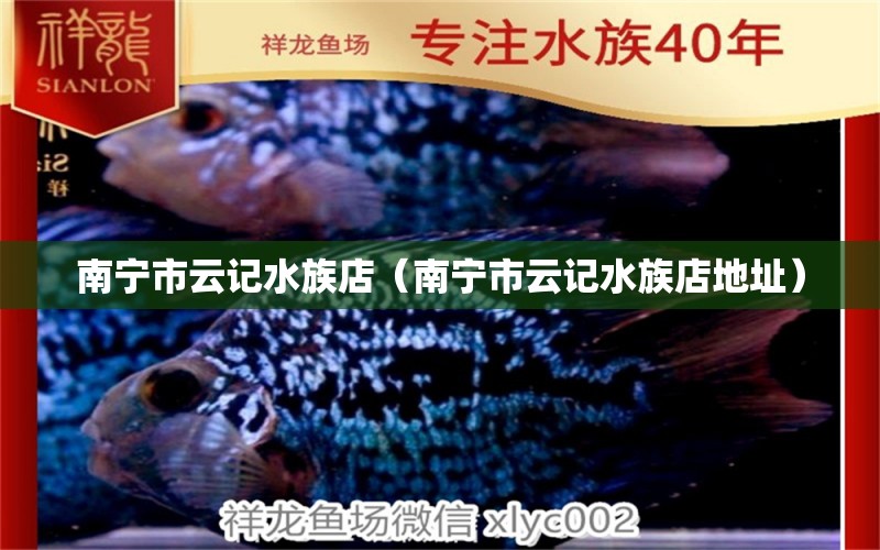 南寧市云記水族店（南寧市云記水族店地址） 全國(guó)水族館企業(yè)名錄