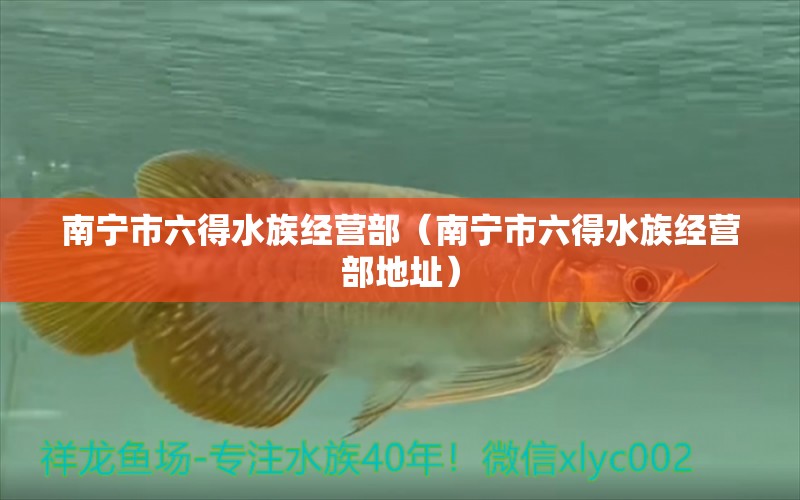 南寧市六得水族經(jīng)營部（南寧市六得水族經(jīng)營部地址）