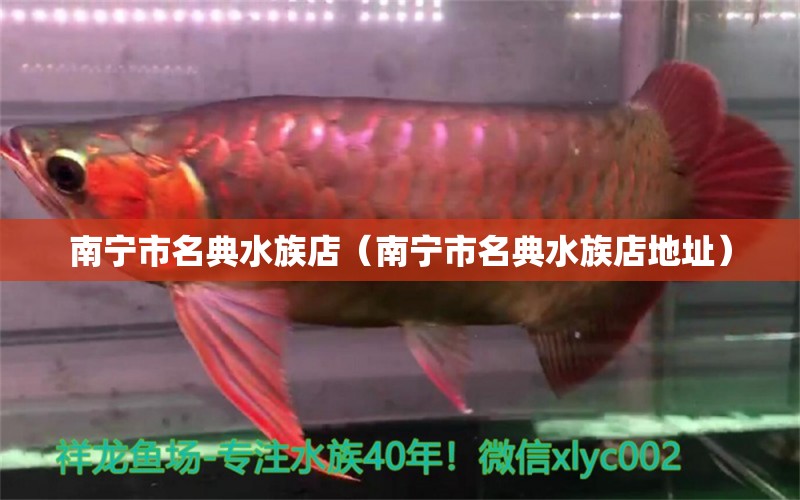 南寧市名典水族店（南寧市名典水族店地址） 全國(guó)水族館企業(yè)名錄