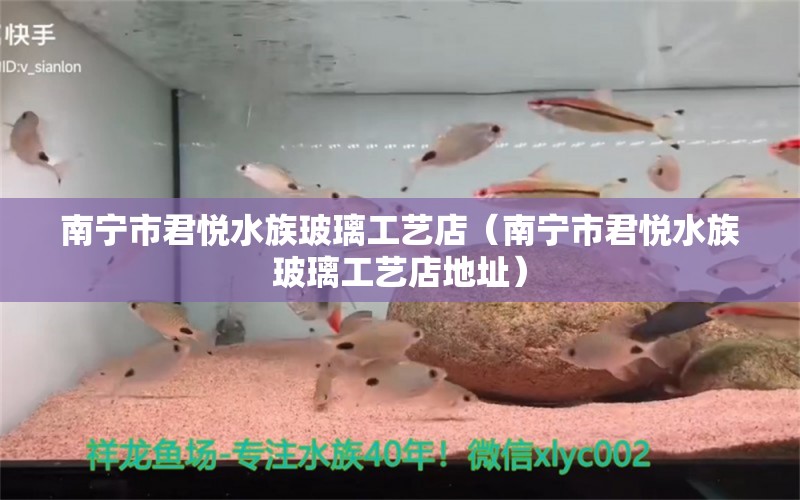 南寧市君悅水族玻璃工藝店（南寧市君悅水族玻璃工藝店地址） 全國水族館企業(yè)名錄