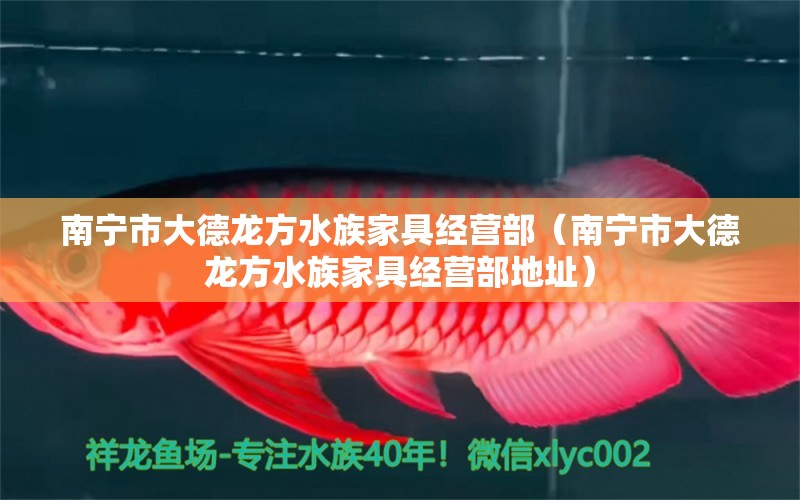 南寧市大德龍方水族家具經(jīng)營部（南寧市大德龍方水族家具經(jīng)營部地址）