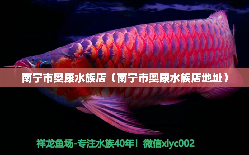 南寧市奧康水族店（南寧市奧康水族店地址）