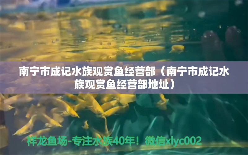 南寧市成記水族觀賞魚經(jīng)營部（南寧市成記水族觀賞魚經(jīng)營部地址） 全國水族館企業(yè)名錄