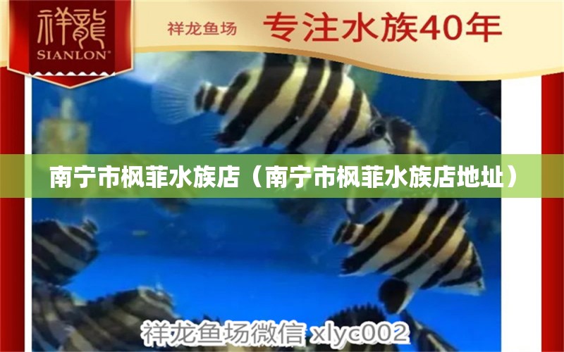 南寧市楓菲水族店（南寧市楓菲水族店地址）