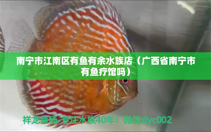 南寧市江南區(qū)有魚有余水族店（廣西省南寧市有魚療館嗎）