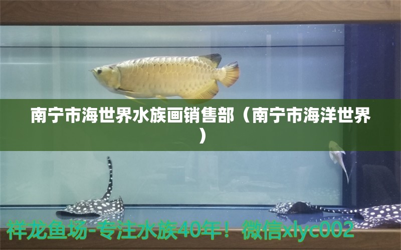 南寧市海世界水族畫銷售部（南寧市海洋世界）