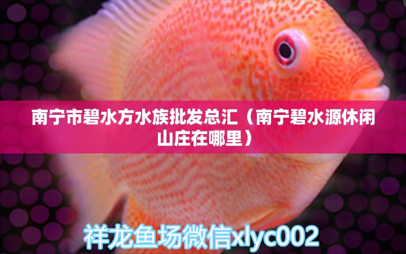 南寧市碧水方水族批發(fā)總匯（南寧碧水源休閑山莊在哪里）