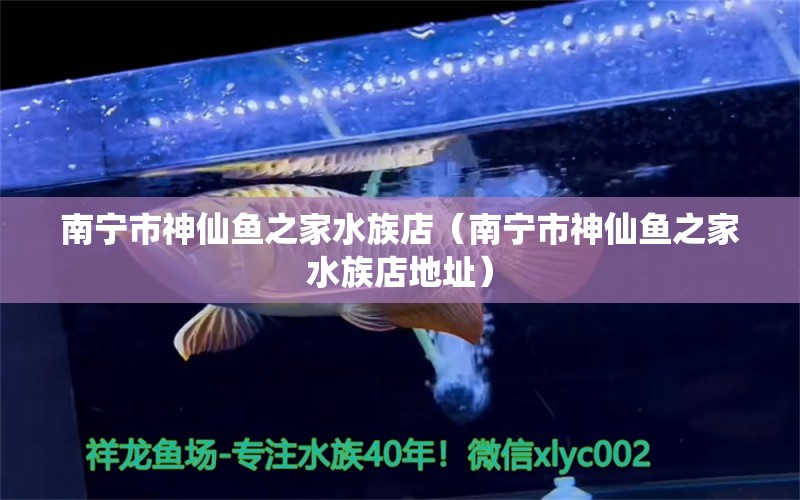 南寧市神仙魚之家水族店（南寧市神仙魚之家水族店地址） 全國水族館企業(yè)名錄