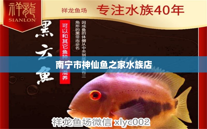 南寧市神仙魚之家水族店