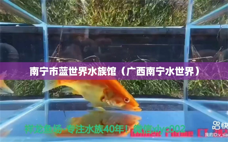 南寧市藍(lán)世界水族館（廣西南寧水世界） 全國水族館企業(yè)名錄