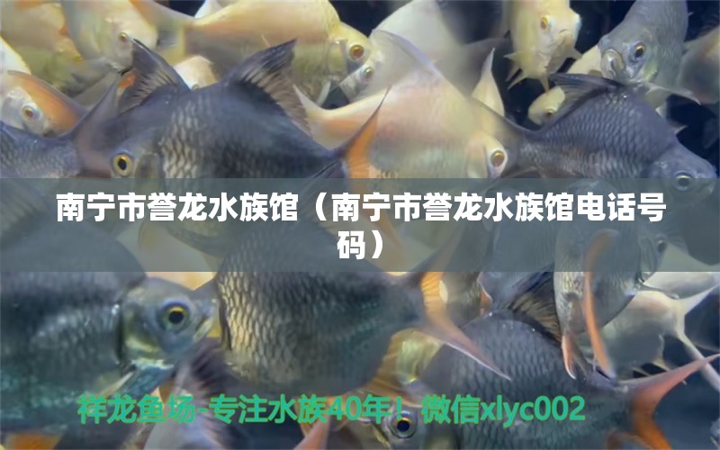 南寧市譽(yù)龍水族館（南寧市譽(yù)龍水族館電話號碼） 全國水族館企業(yè)名錄