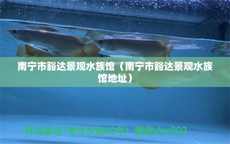 南寧市豁達景觀水族館（南寧市豁達景觀水族館地址）