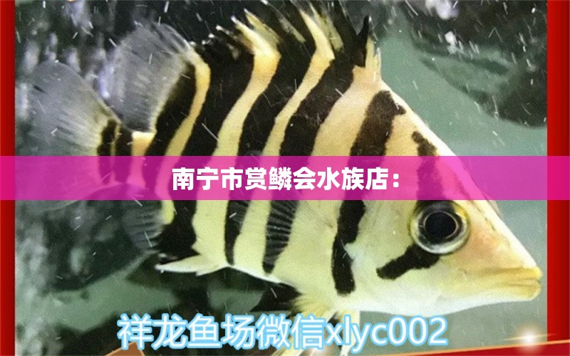 南寧市賞鱗會(huì)水族店： 全國水族館企業(yè)名錄