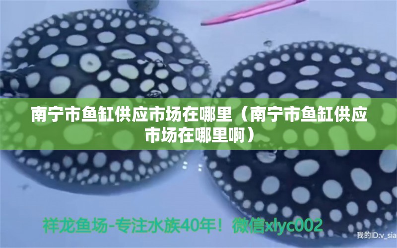 南寧市魚缸供應市場在哪里（南寧市魚缸供應市場在哪里?。?其他品牌魚缸