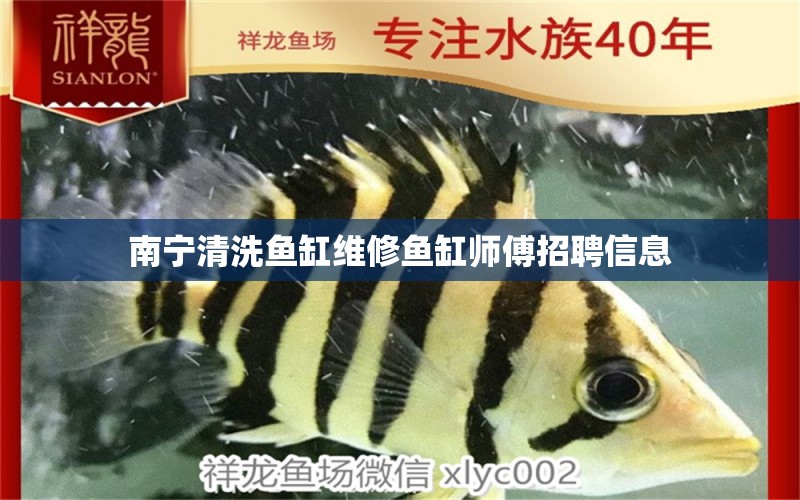 南寧清洗魚缸維修魚缸師傅招聘信息