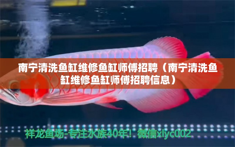 南寧清洗魚缸維修魚缸師傅招聘（南寧清洗魚缸維修魚缸師傅招聘信息）