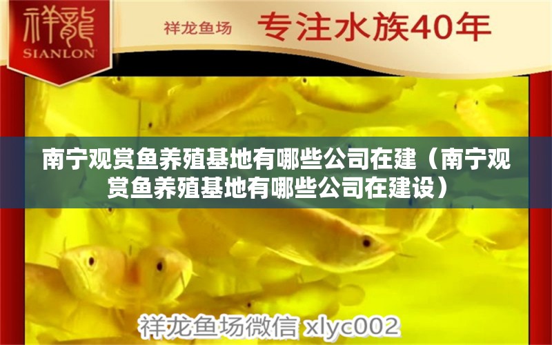 南寧觀賞魚養(yǎng)殖基地有哪些公司在建（南寧觀賞魚養(yǎng)殖基地有哪些公司在建設）