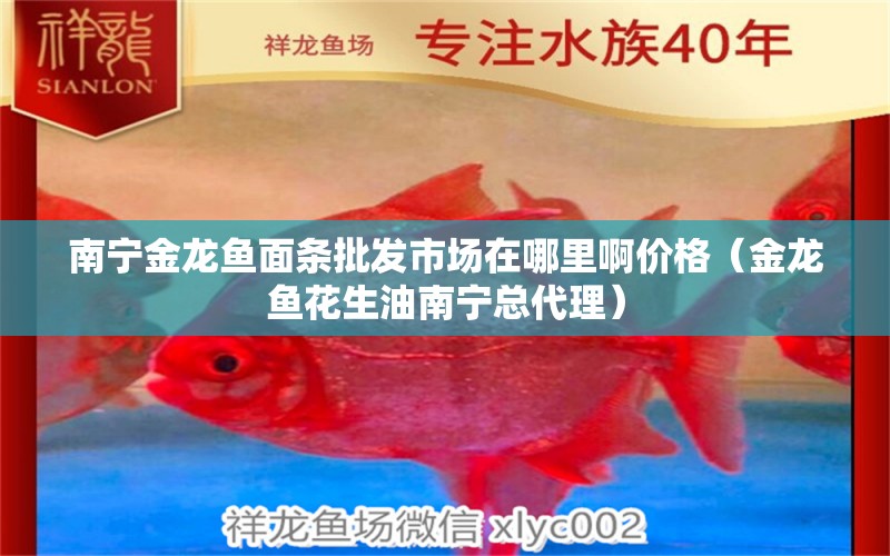 南寧金龍魚面條批發(fā)市場在哪里啊價格（金龍魚花生油南寧總代理）