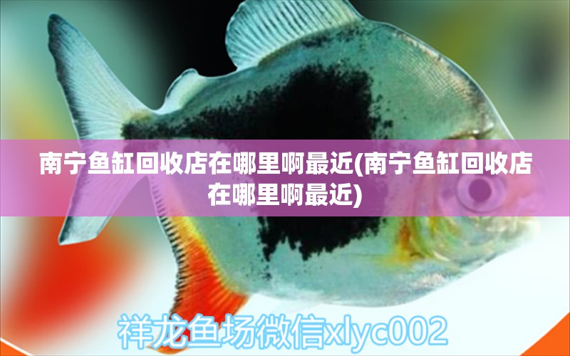 南寧魚(yú)缸回收店在哪里啊最近(南寧魚(yú)缸回收店在哪里啊最近) 水族維護(hù)服務(wù)（上門(mén)）