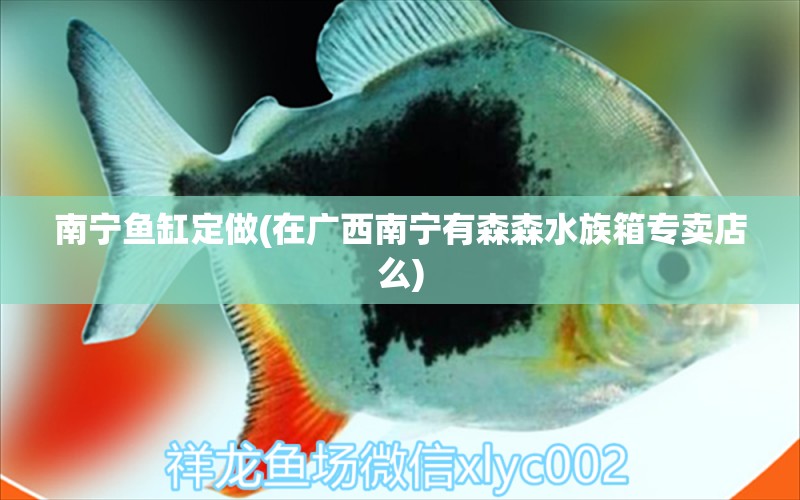 南寧魚缸定做(在廣西南寧有森森水族箱專賣店么)